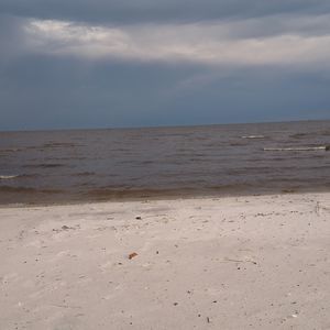 Meet your Posher, Toni